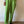 80&#39;s bright green pants.を表示
