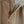 Polo by Ralph Lauren Cotton Pantsを表示
